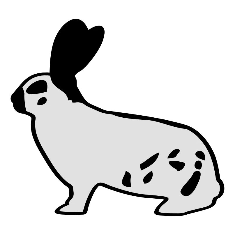 Le géant allemand pie lapin lapin