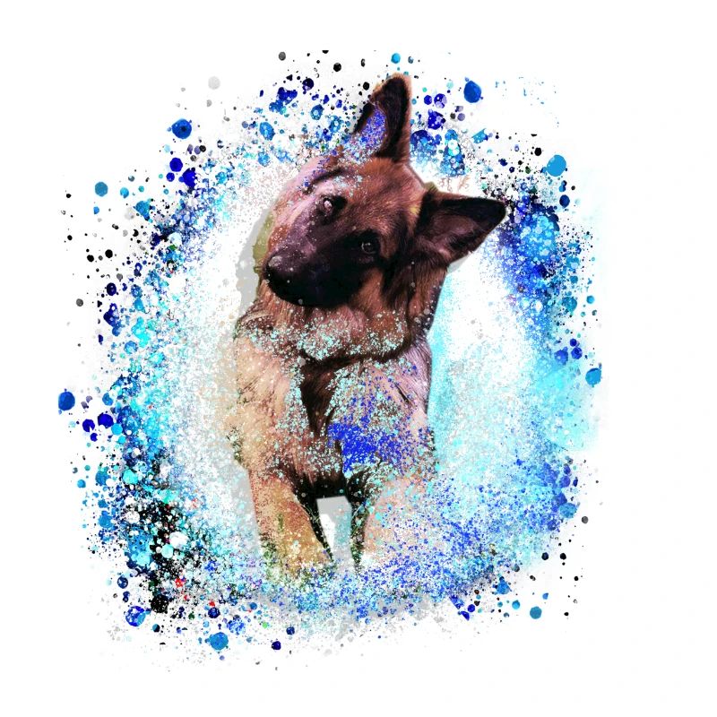 german shepherd,dog,graffiti, German shepherd dog,
