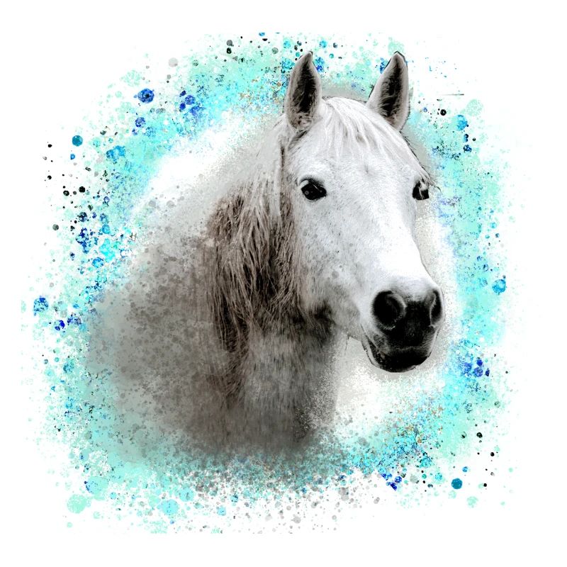 cheval , moisi ,graffiti , peinture,cheval blanc,