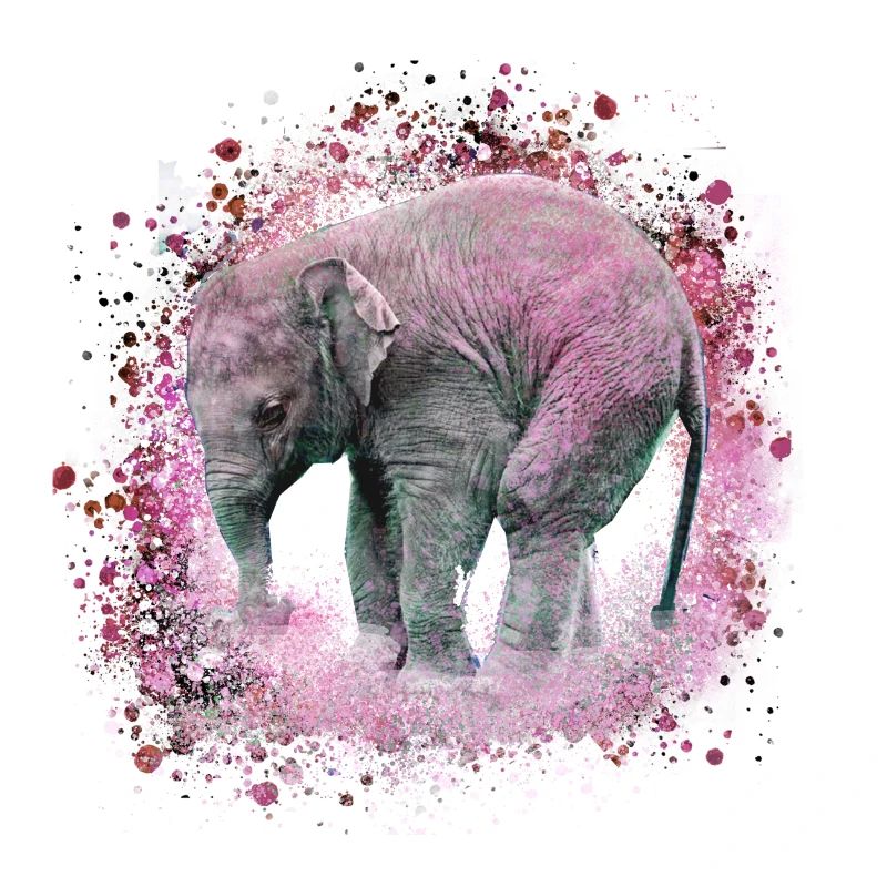 bébé éléphant, éléphant, graffiti, rose, peinture