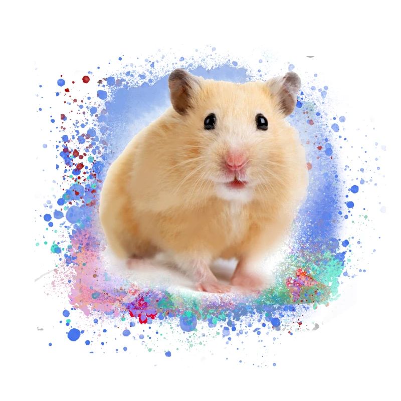 hamster, graffiti,painting,green,blue