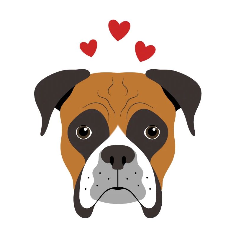 Boxer Liebe