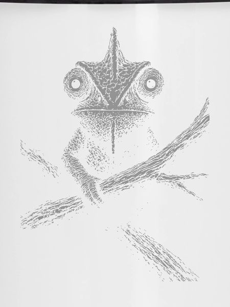 Ernstes Chamäleon 