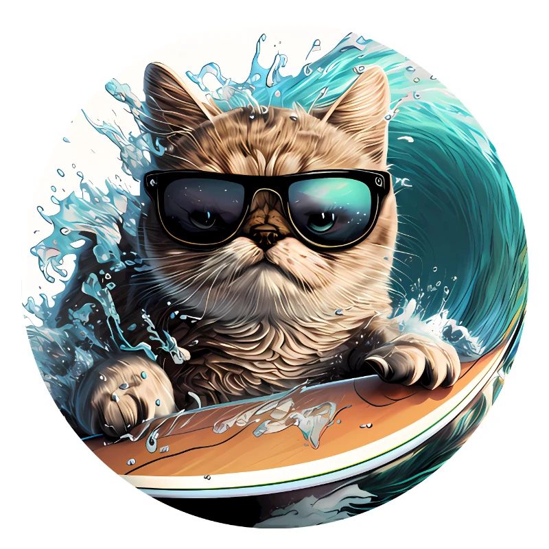 Chat de surf