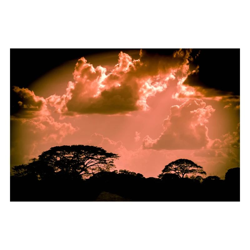 I am no one... apocalypse