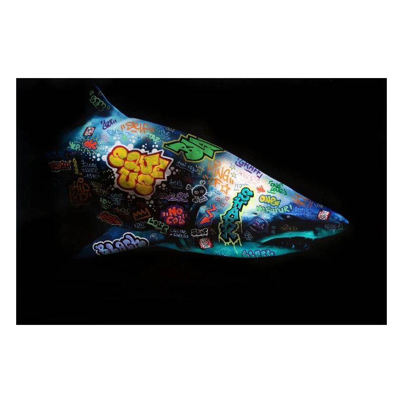 Graffiti Requin by Blach®