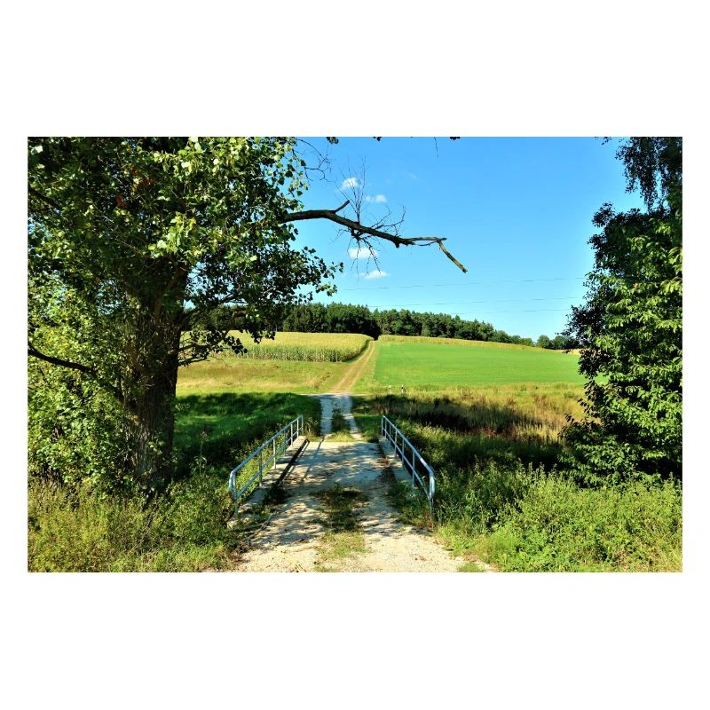 Bridge / fields / Summer