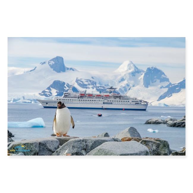 SuK Bild - Antarktis - Ein Pinguin vor MS Delphin