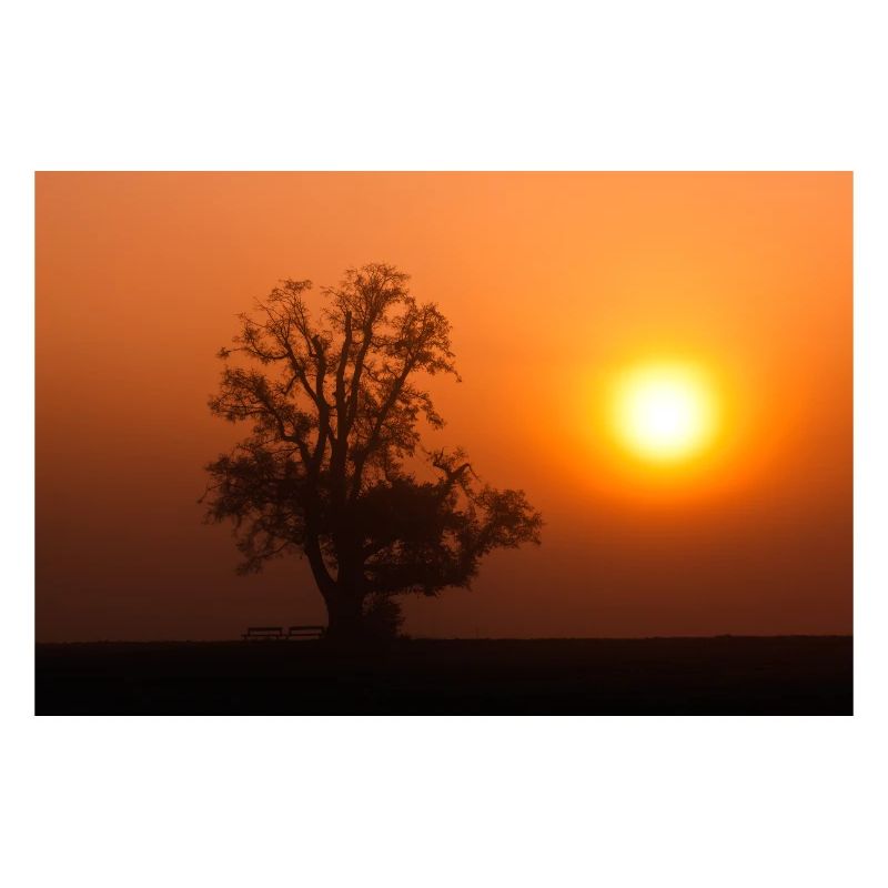 Lever de soleil géant