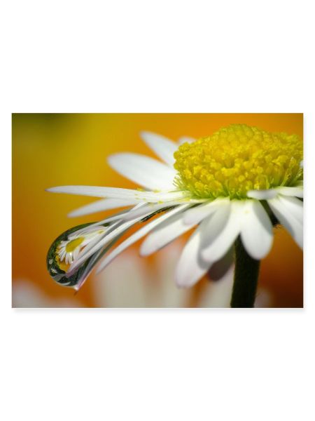 Wassertropfen
