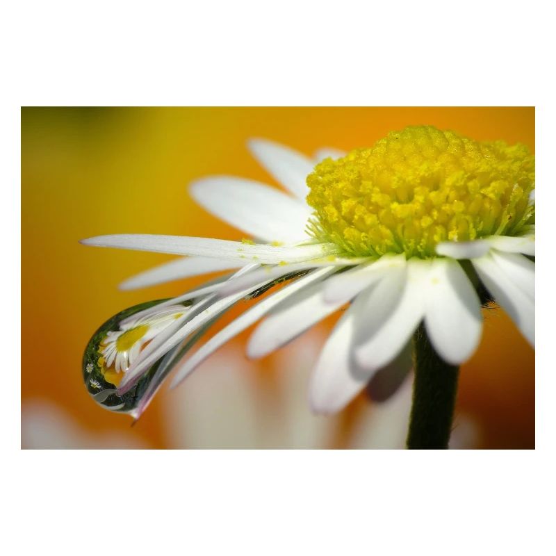 Wassertropfen