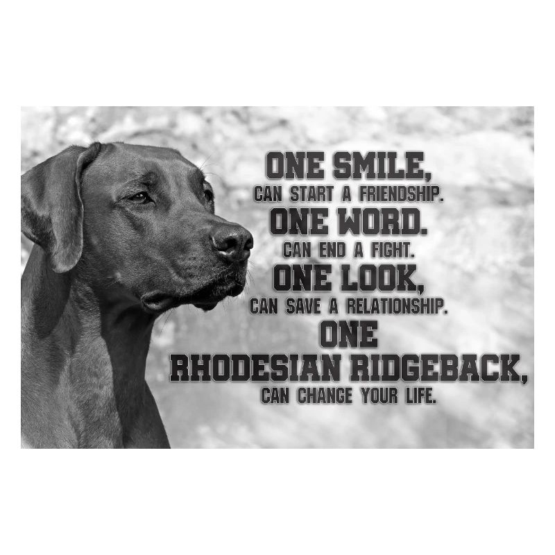 Rhodesian Ridgeback