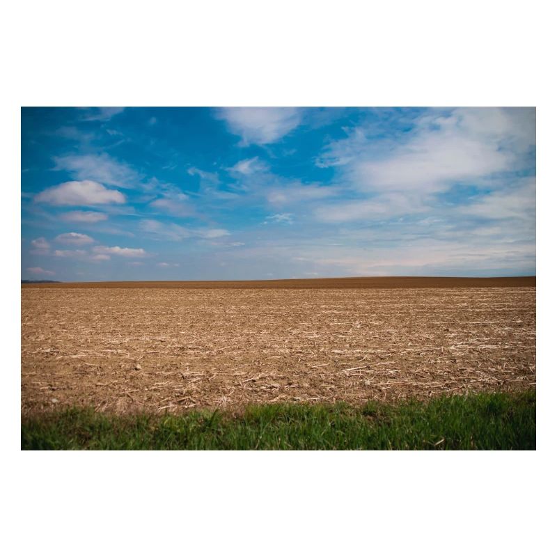 Terres arables au ciel bleu