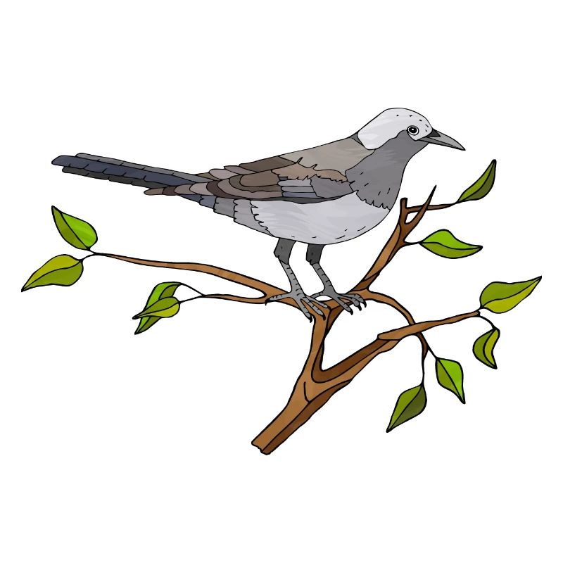 Oiseau