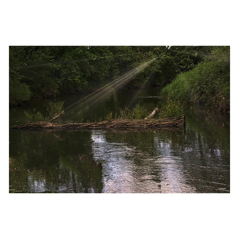 Wild river.