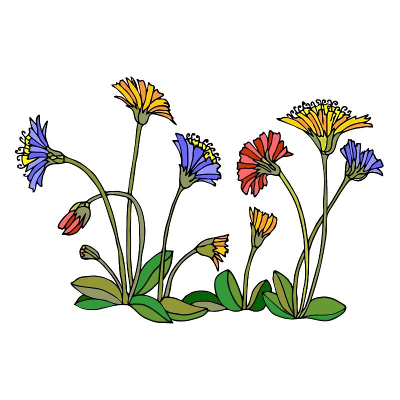 Fleur