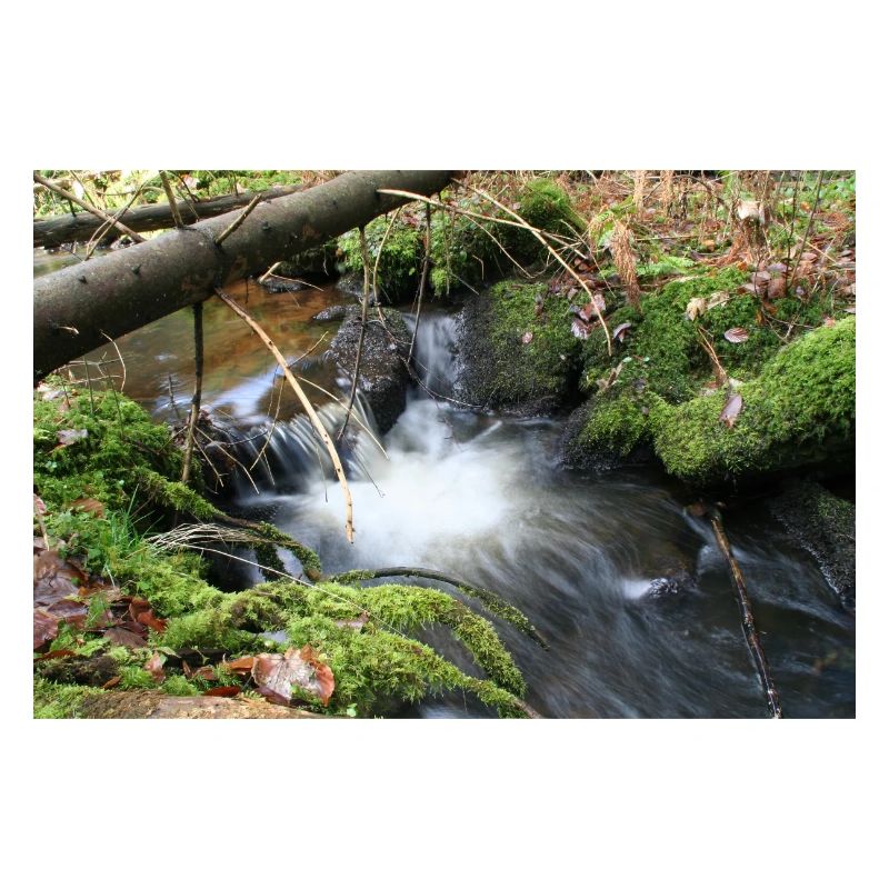 WALDBACH NAGOLDTAL