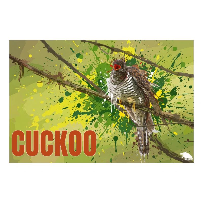 CUCKOO