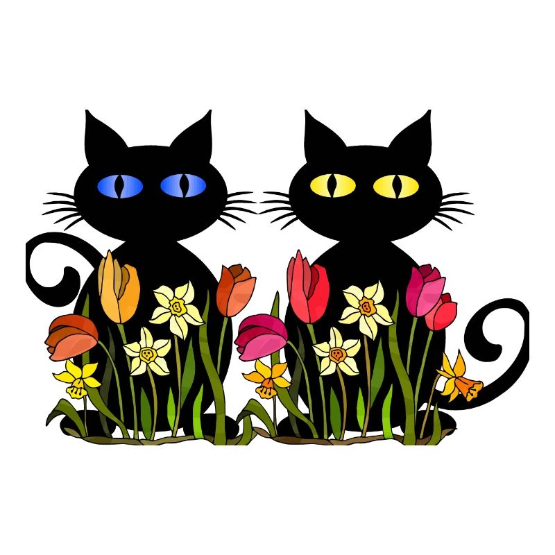 Chats