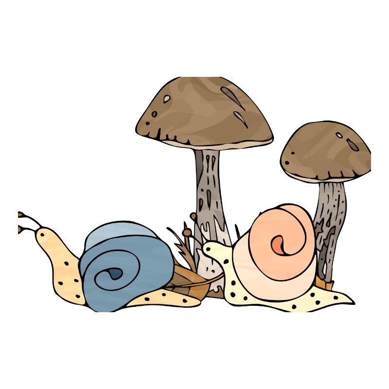 Snails