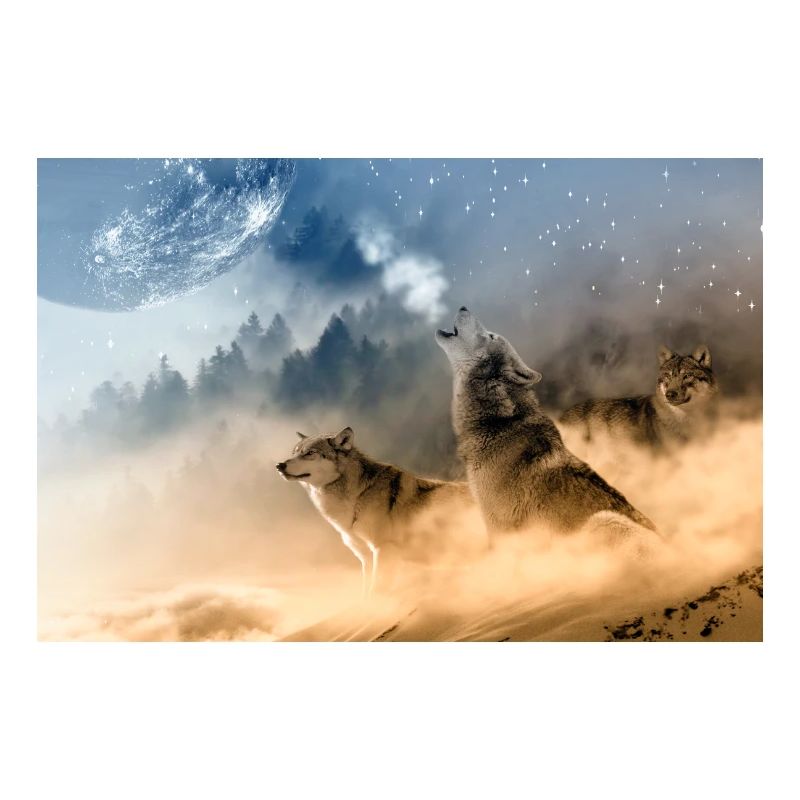Loups hurlant à la lune / Beaux loups