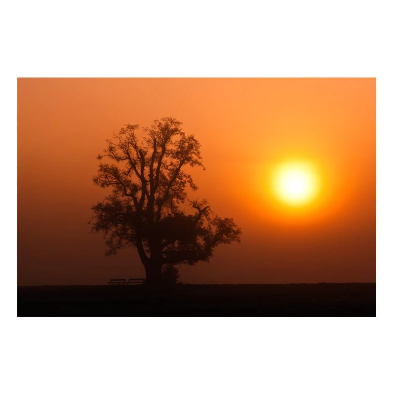 Lever de soleil géant