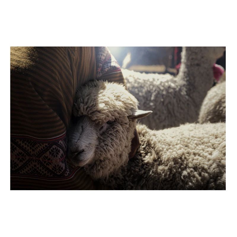 Peruvian Tradition by Daniel Rödel