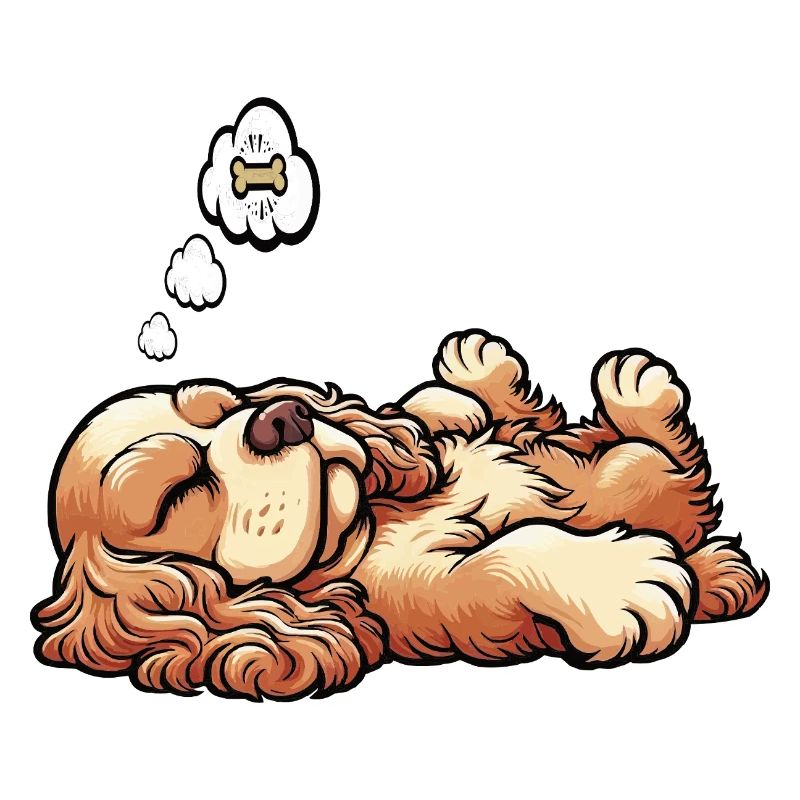 Cocker Spaniel Cockerhund Cocker Spaniel Besitzer