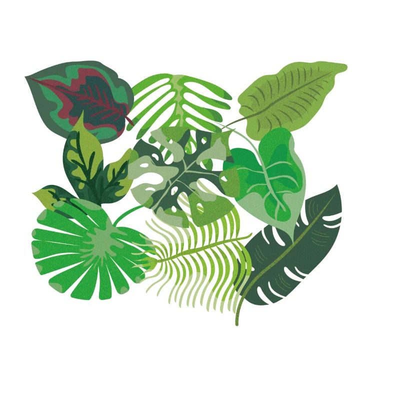 Feuilles de style jungle vert tropical