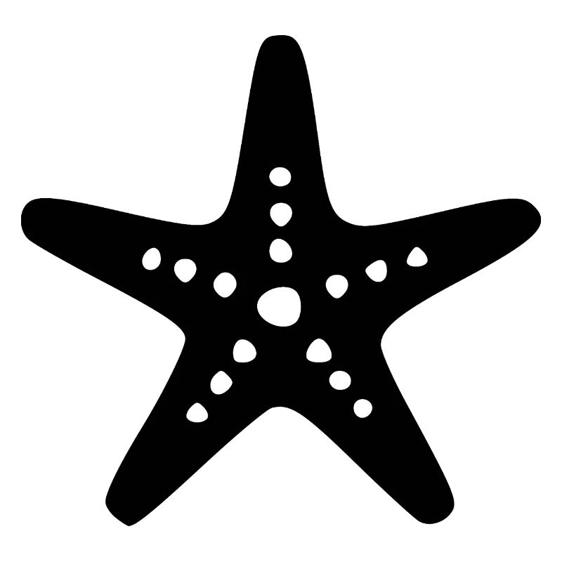 Plage de vacances de Black Starfish