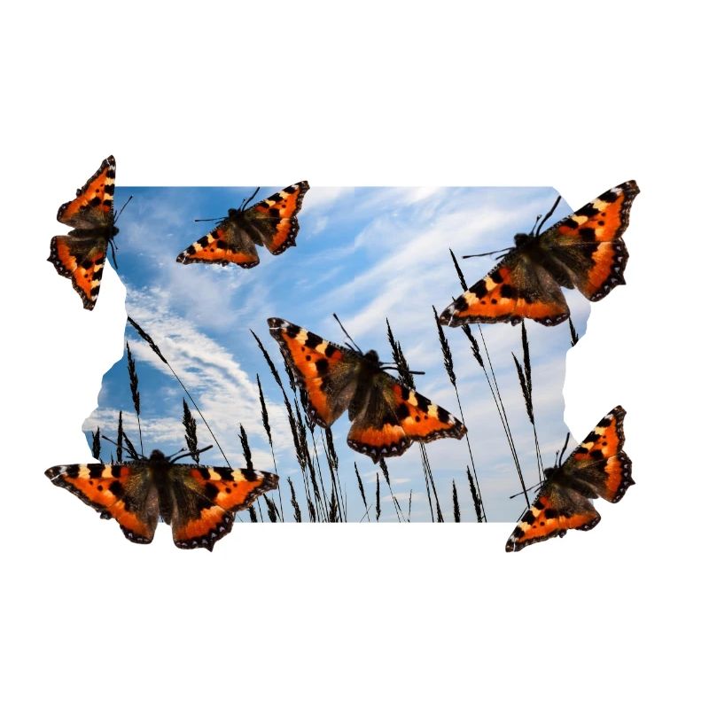 PAPILLON