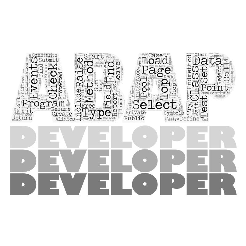 ABAP Developer