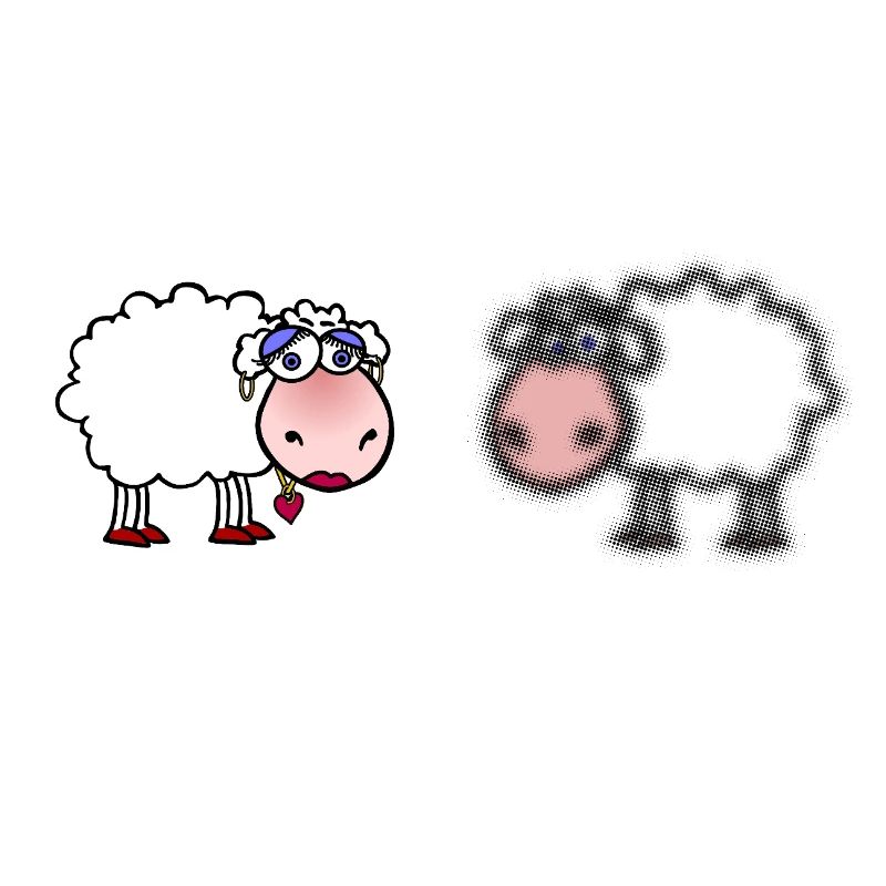 Pecore / Pecore | Gioco di parole