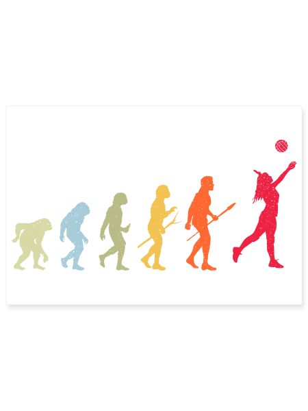 Volleyball Evolution