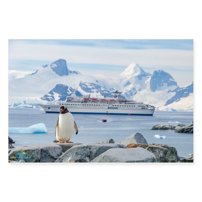 SuK Bild - Antarktis - Ein Pinguin vor MS Delphin