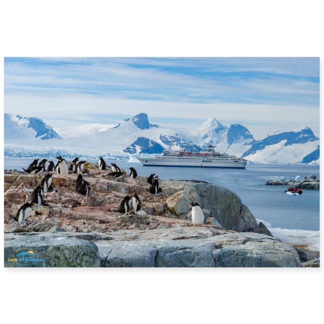 SuK Bild - Antarktis Pinguine vor MS Delphin