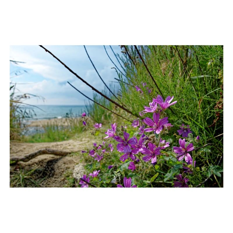 Natur