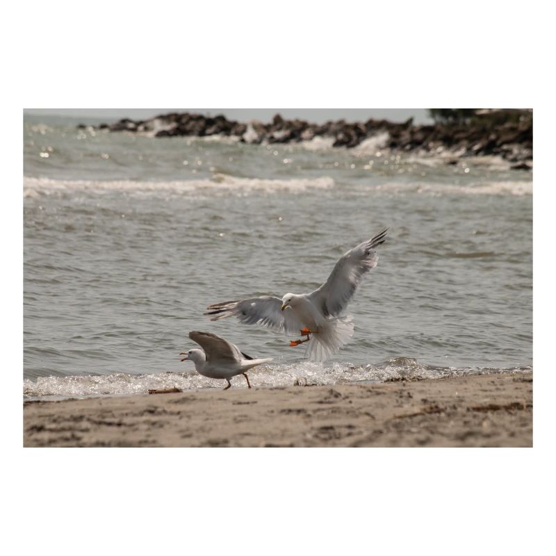 Zwischen Himmel und Meer