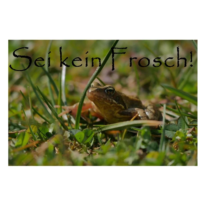 Don't be a frog