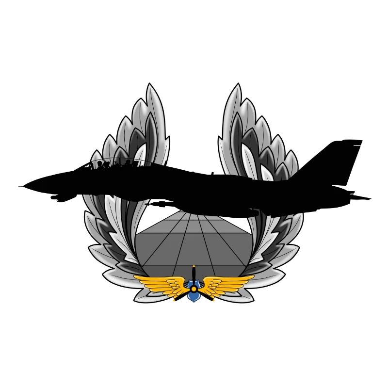 F-14 Tomcat