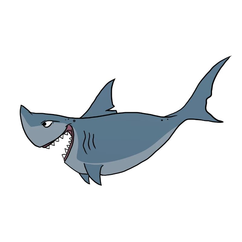 Requin requin océan dessin animé comique