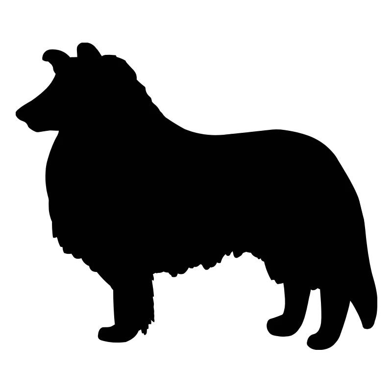 Collie Dog