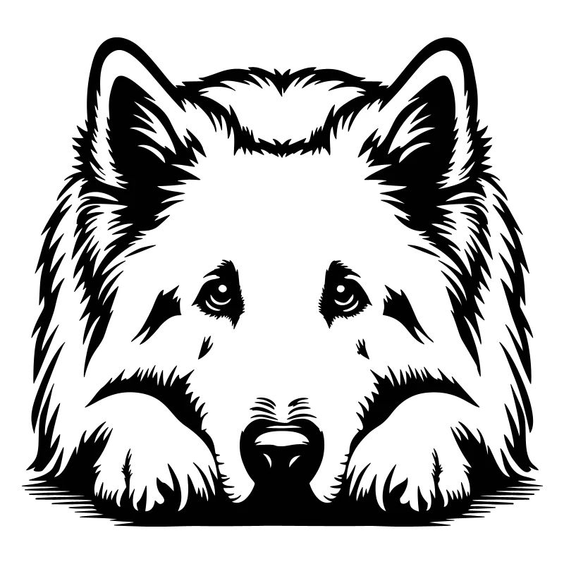 Schweizer Schäferhund