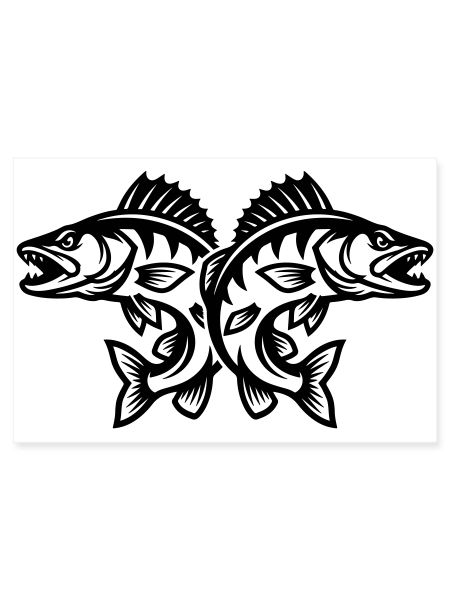 Brochet