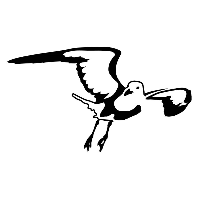 Möwe