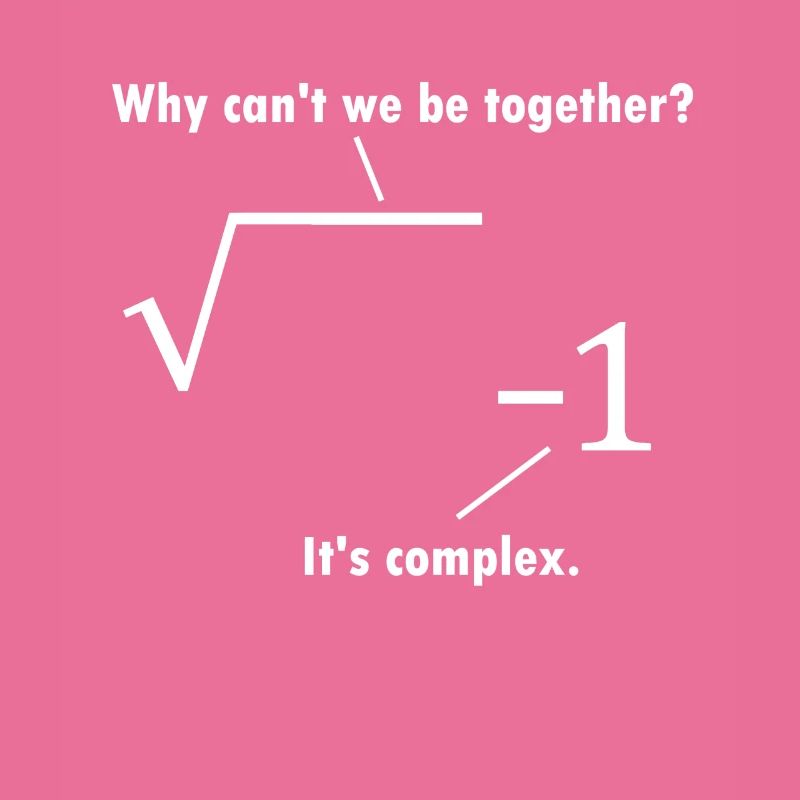 Math joke mathematician gift nerd teacher