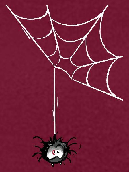 Spinne "Igitte"