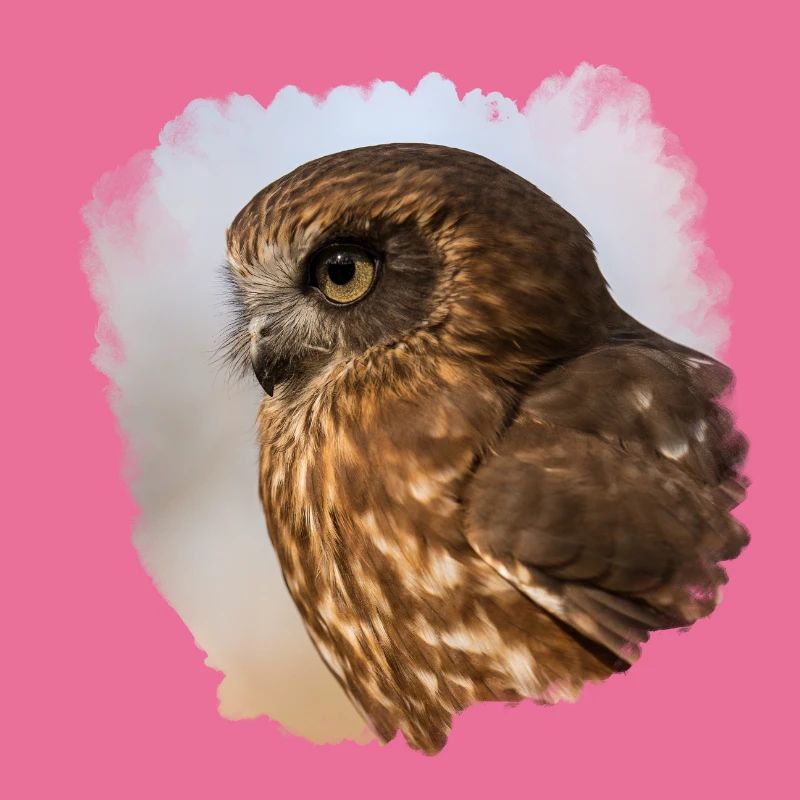 Owl design