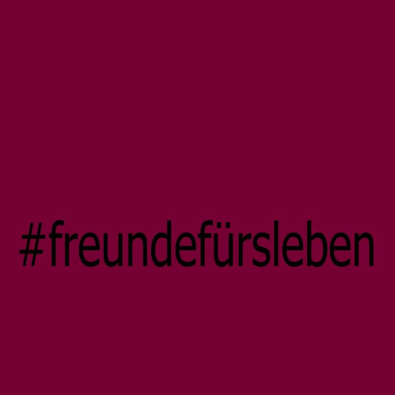 freundefuersleben