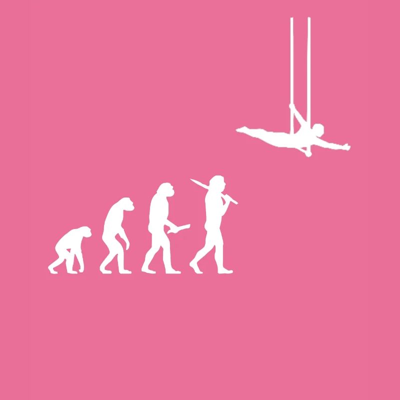 Evolution trapèze volant acrobate idée cadeau
